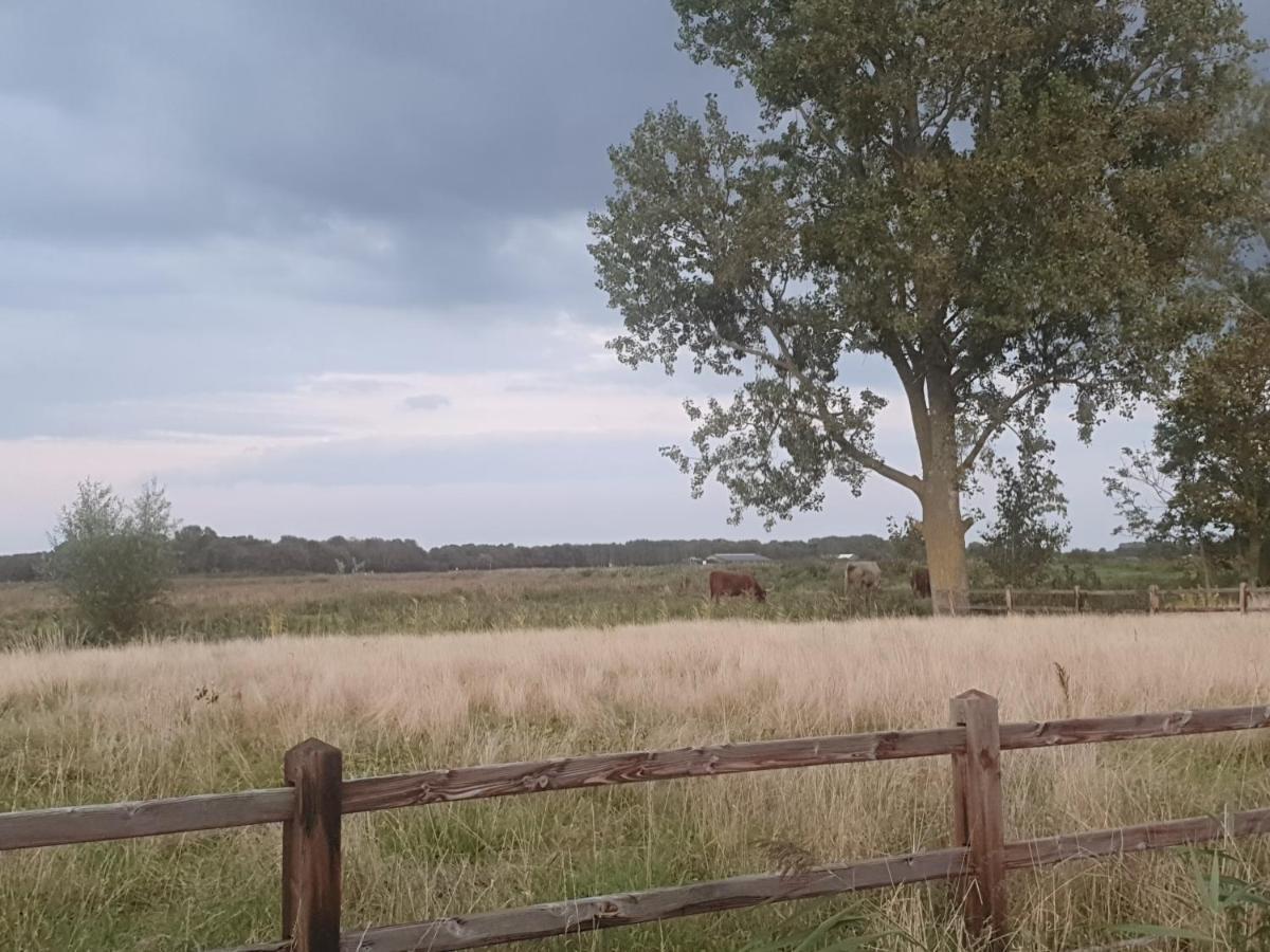 Cottage Geestmerambacht, Een Nieuw Vrijstaande Sfeervol En Landelijk Gelegen Vakantiewoning Koedijk Eksteriør bilde